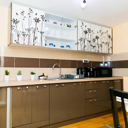 Apartment Koncept Studio Brasov