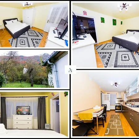 Koncept Studio Brasov