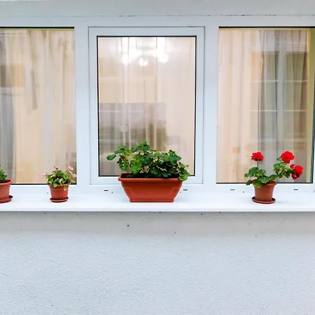 Koncept Studio Apartment *
