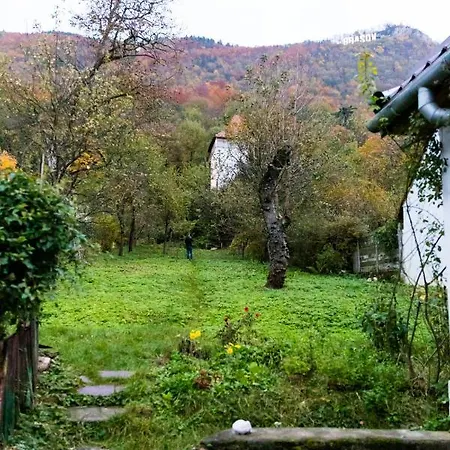 Apartment Koncept Studio Brasov