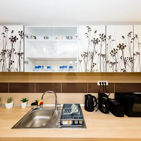 Koncept Studio Apartment Brasov